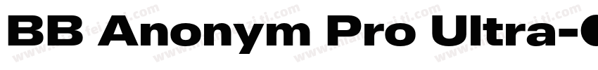 BB Anonym Pro Ultra字体转换